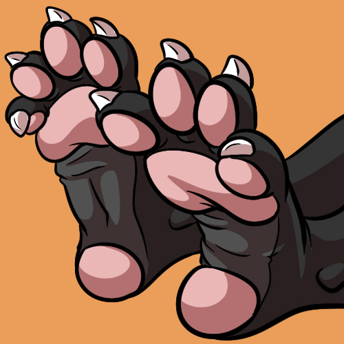 Paw Lovers's Display Picture