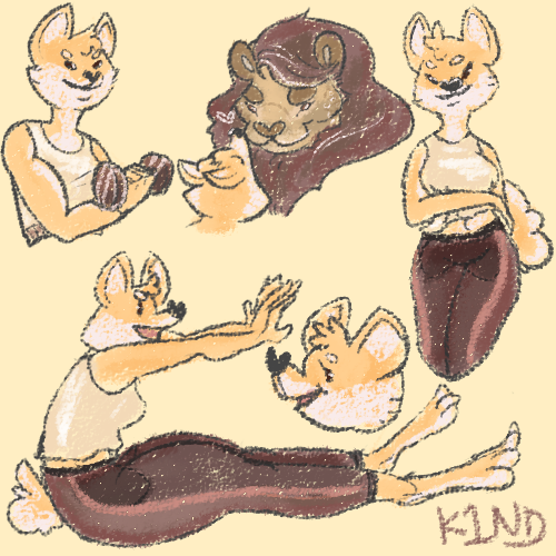 1519932071.k1nd_shibesketches.png