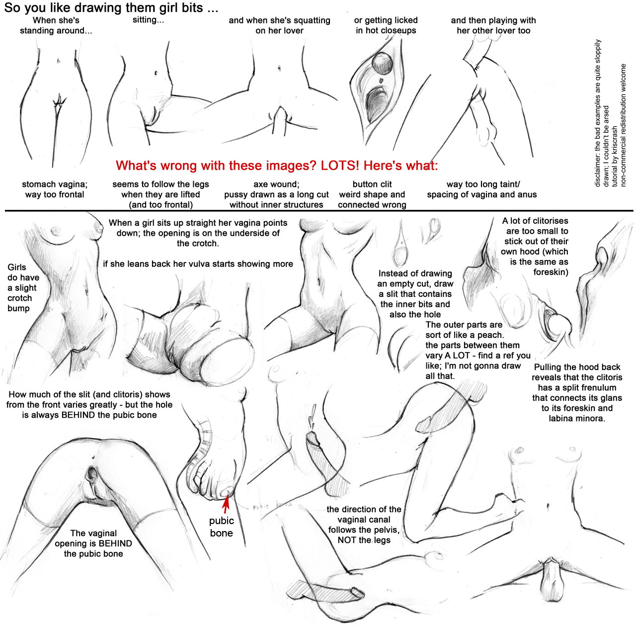 Cartoons of pussy anatomy
