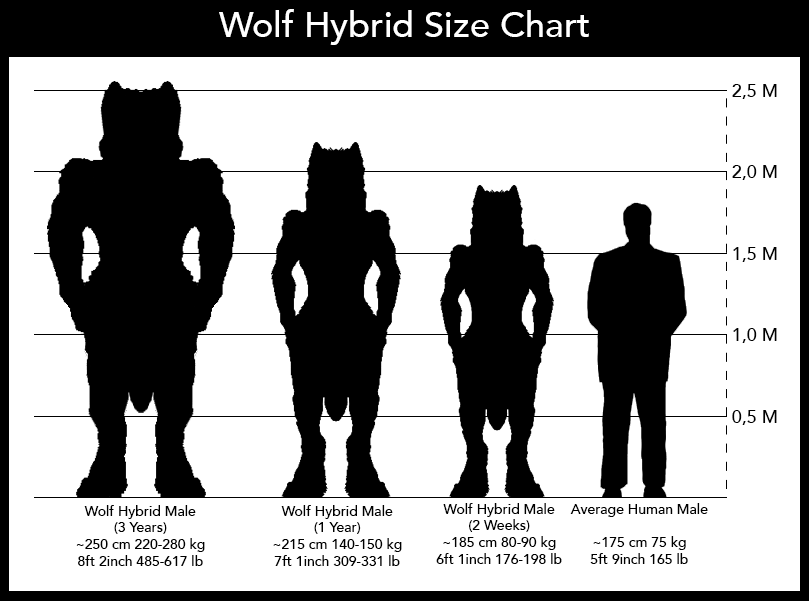 Hybrid Size Chart