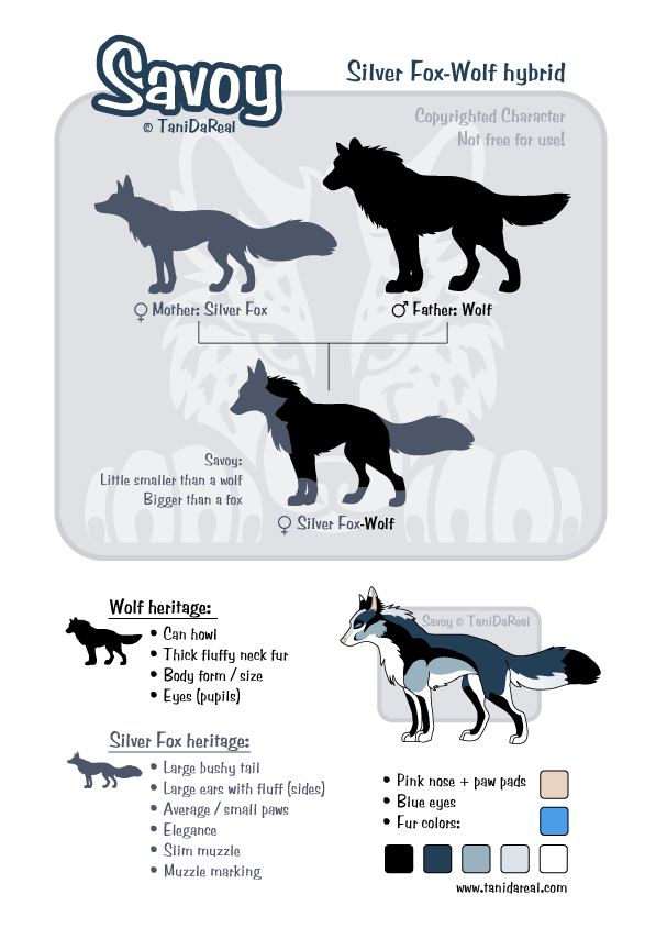 Wolf Size Chart