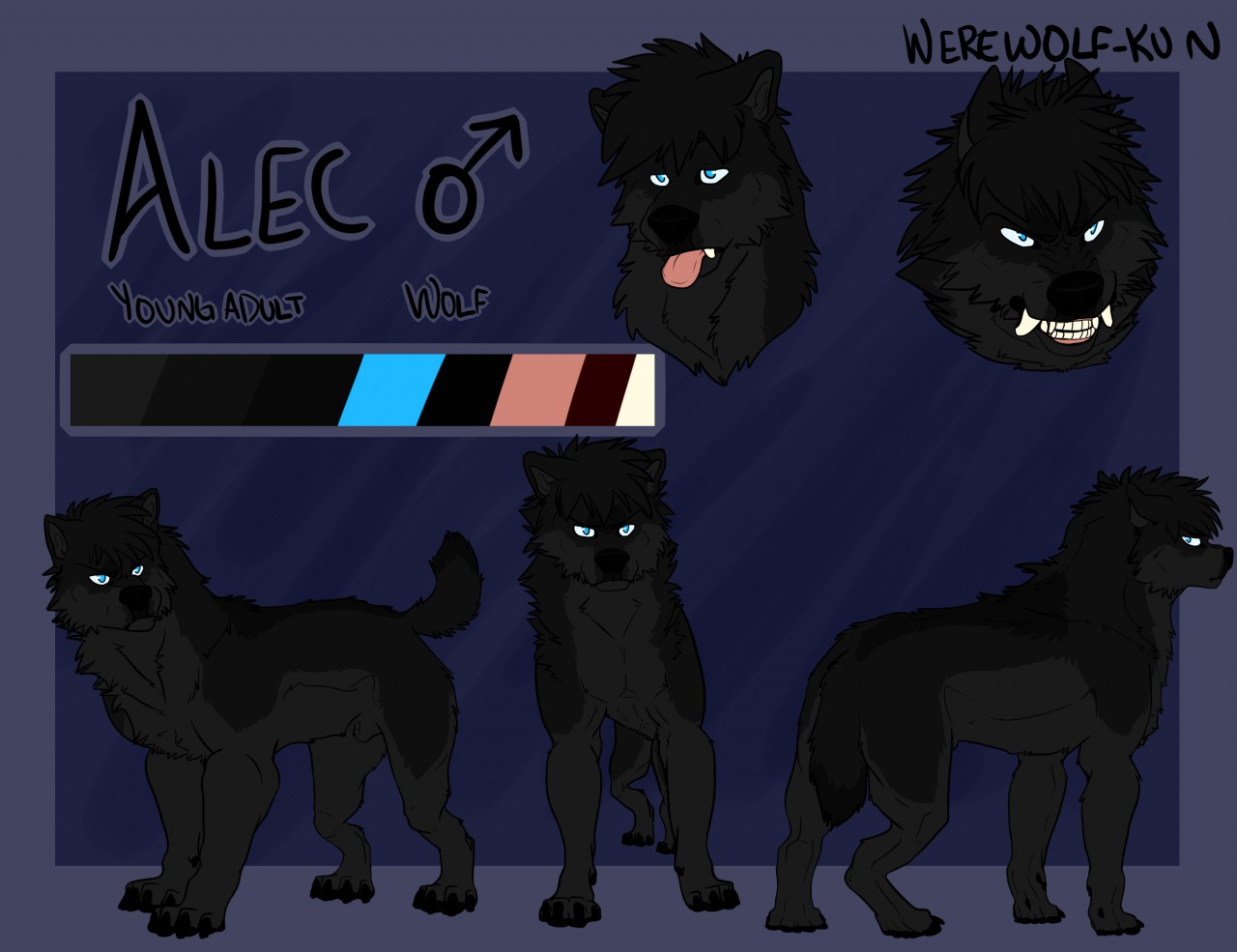 1494980382.werewolf-kun_alec_ref.png