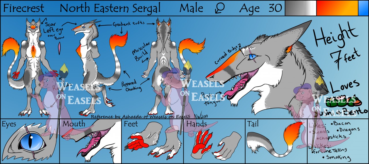 Reference Sheet Fire Crest The Sergal By 96037 Fur Affinity Dot Net