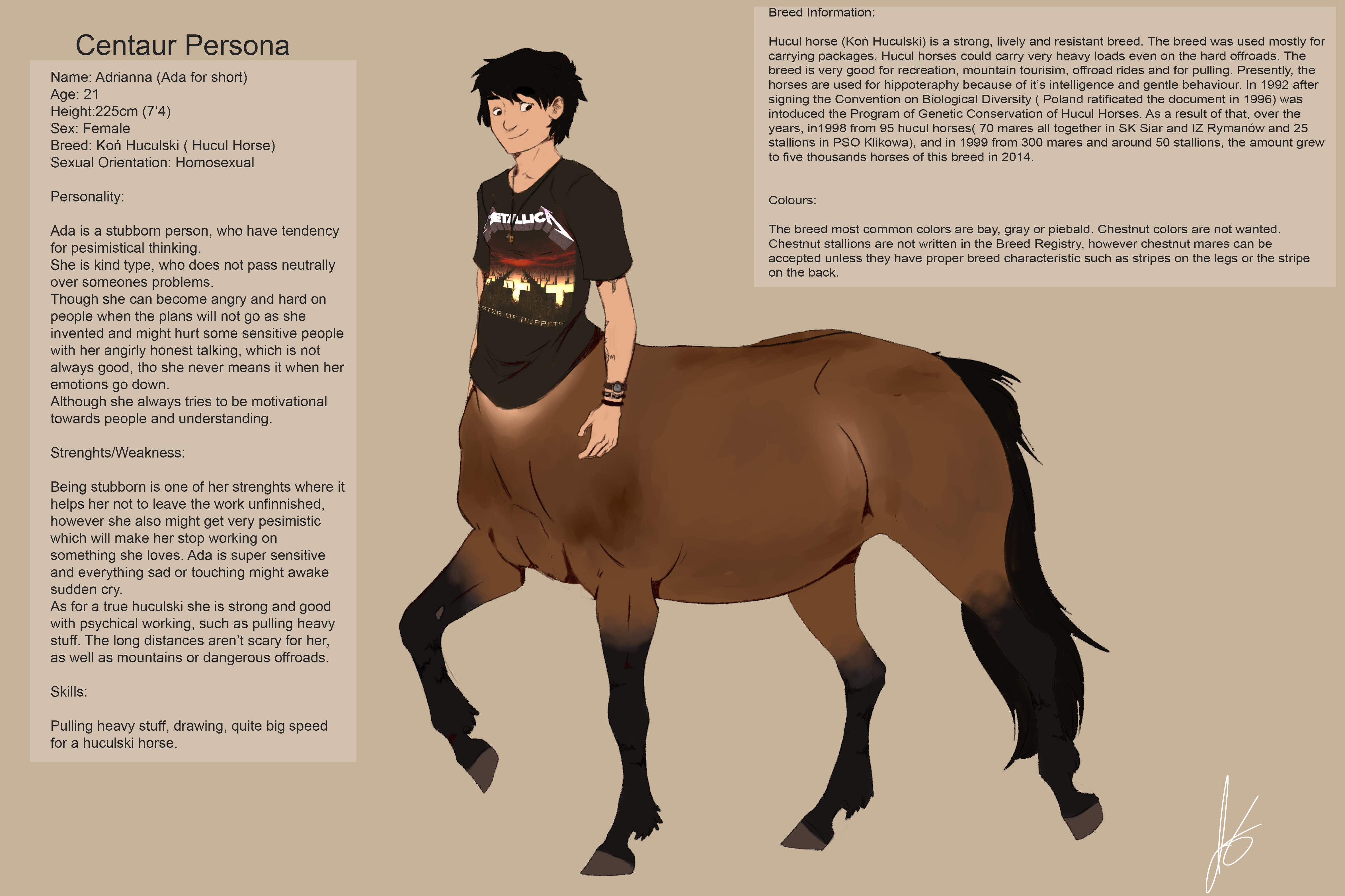 Centaur Persona Information Sheet by AgroPuer -- Fur Affinity dot net.