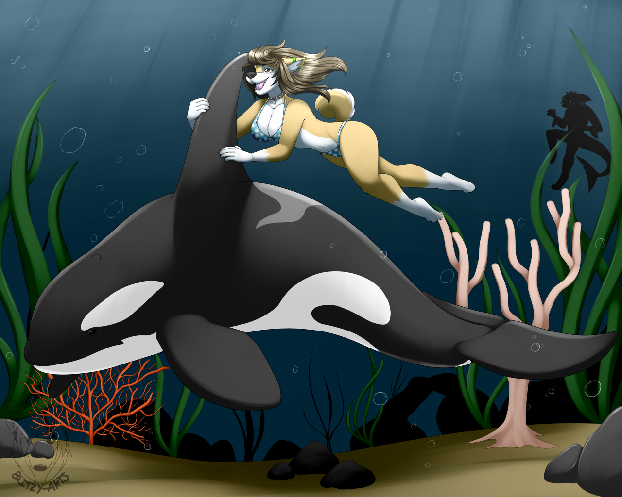 How Does Seaworld Masturbate Their Stud Killer Whales.