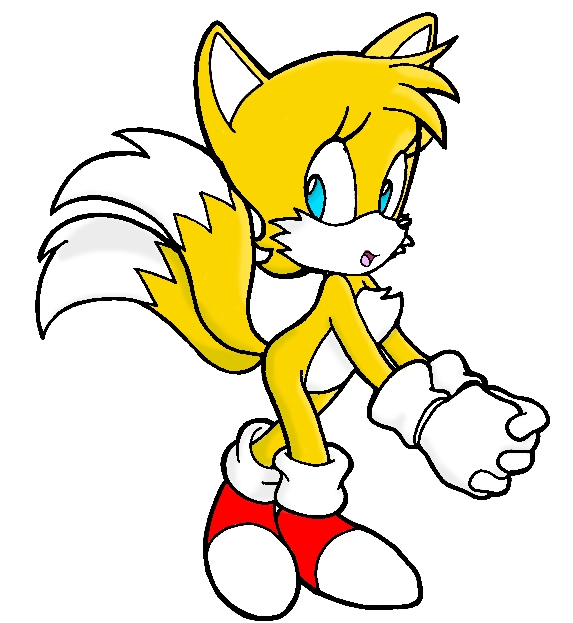 Sonic Tails Female.