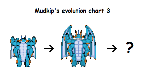 Pokemon Mudkip Evolution Chart