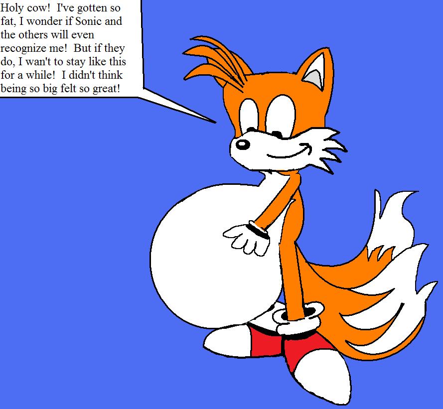 Belly Fat Tails The Fox.