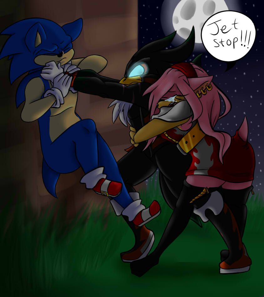 Sonic Vs Super Jet With Amy Rose By Renee Moonveil Fur.