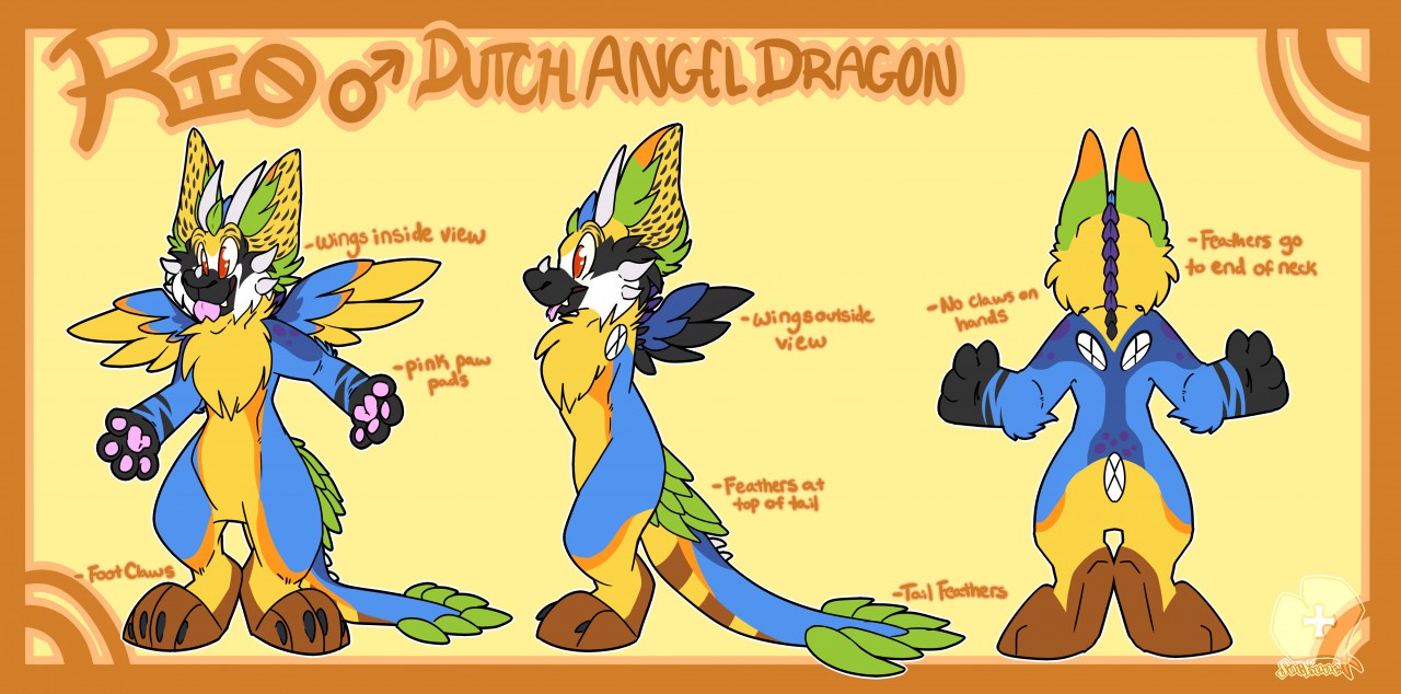 Rio the Dutch Angel Dragon [New Ref] by RioRioRioRio 