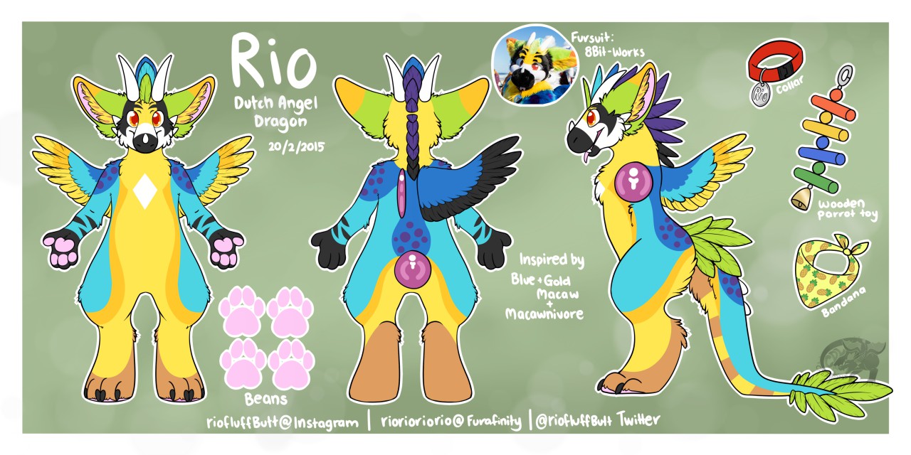 Rio the Dutch Angel Dragon [2017 Reference]OLD by 