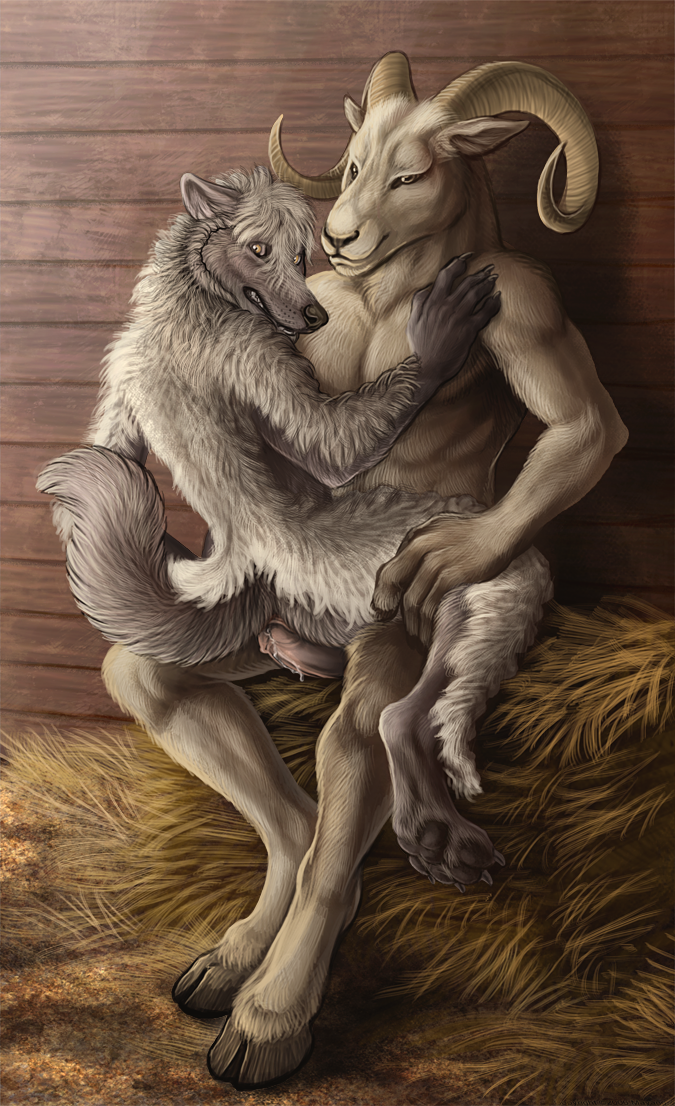 Sheep Big Bad Wolf Porn - Wolf Prey Illustrated - A Wolf in Sheep's Cl...
