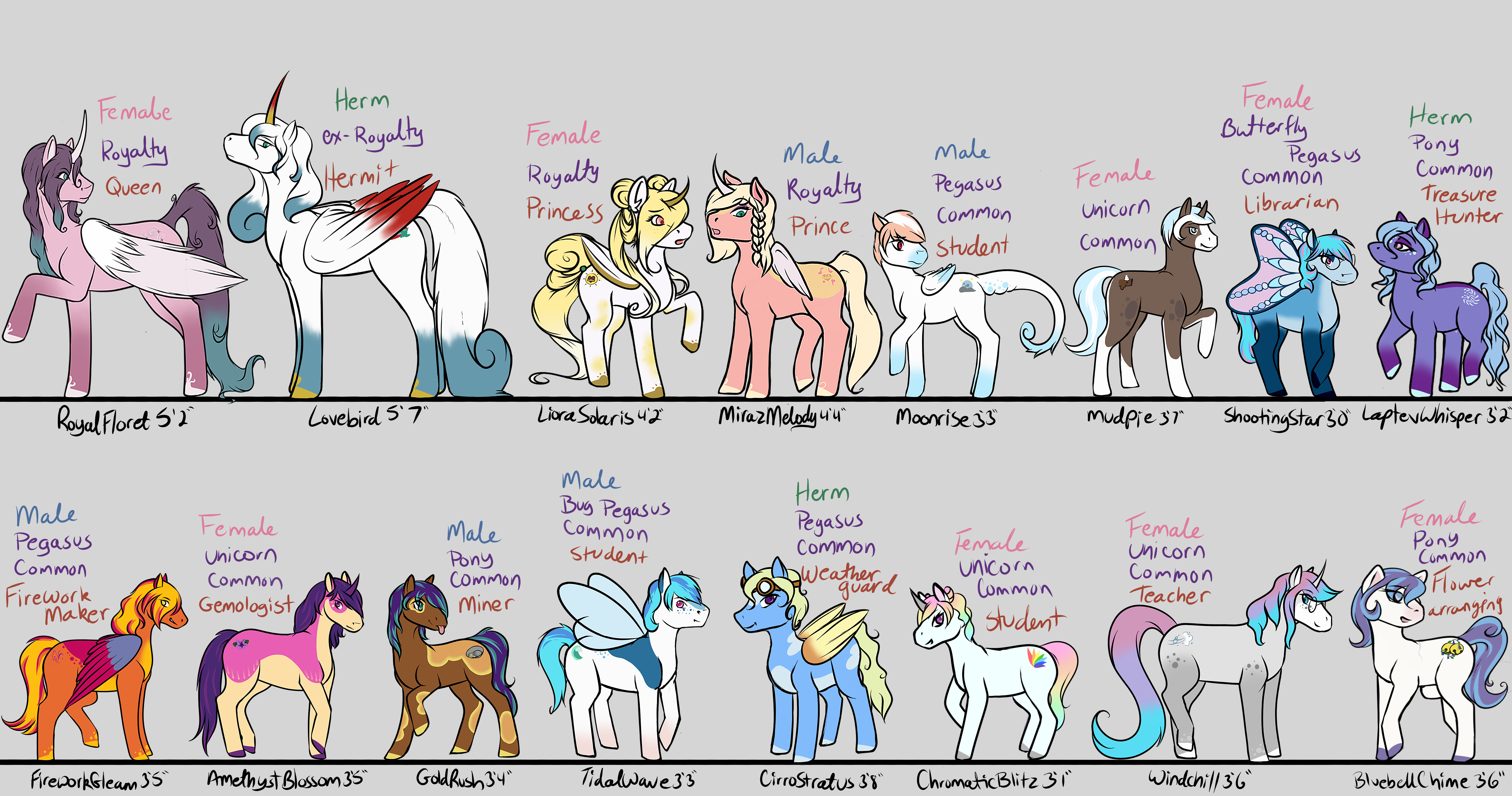Pony Height Chart