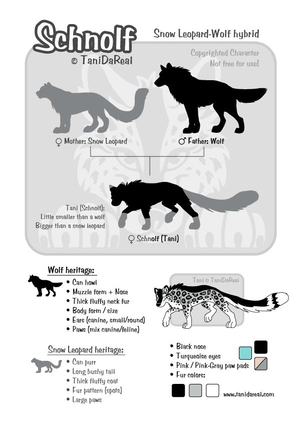 Wolf Dog Size Chart