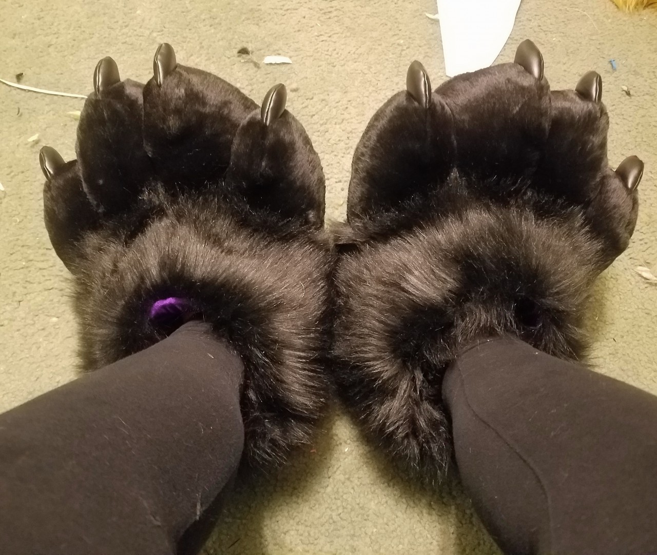 fox paws shoes