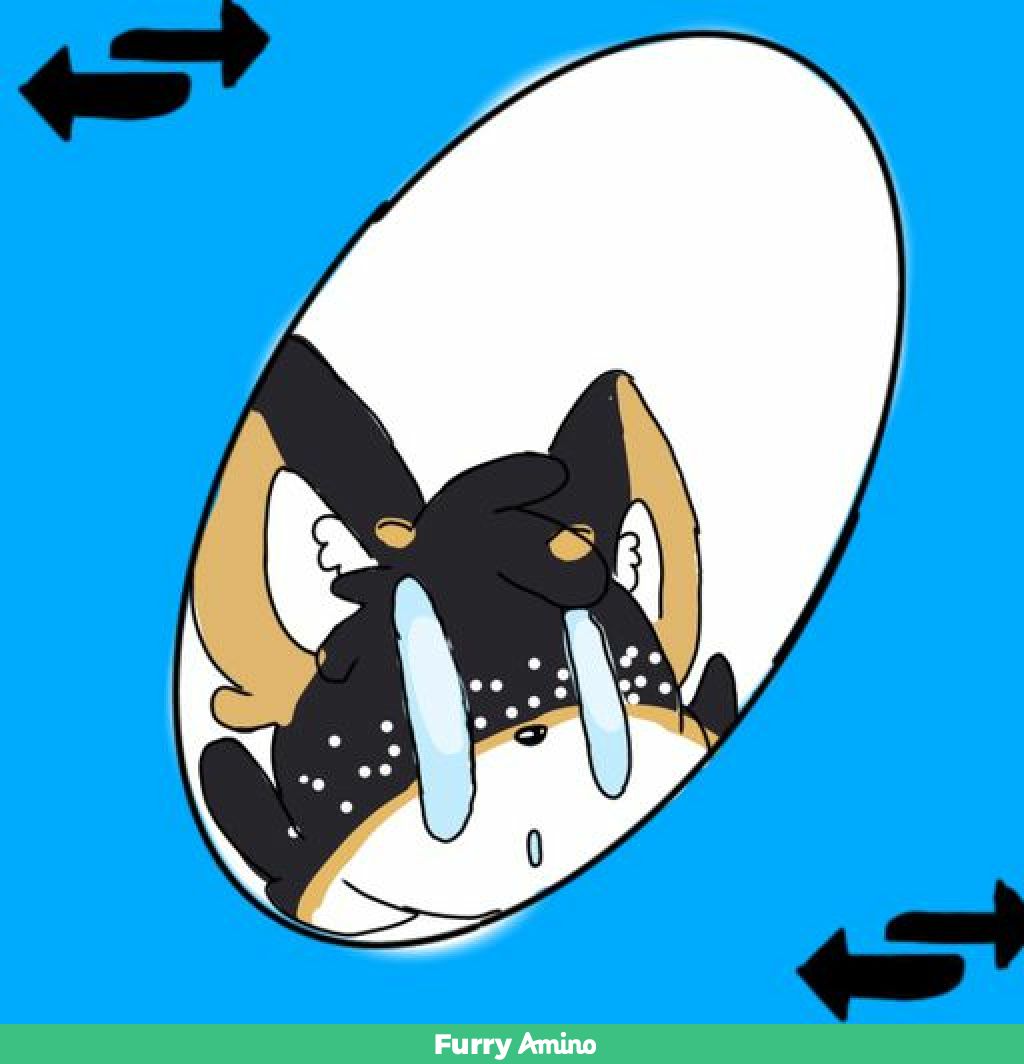 Uno Reverse Card By Vixen Meme Fox Fur Affinity Dot Net