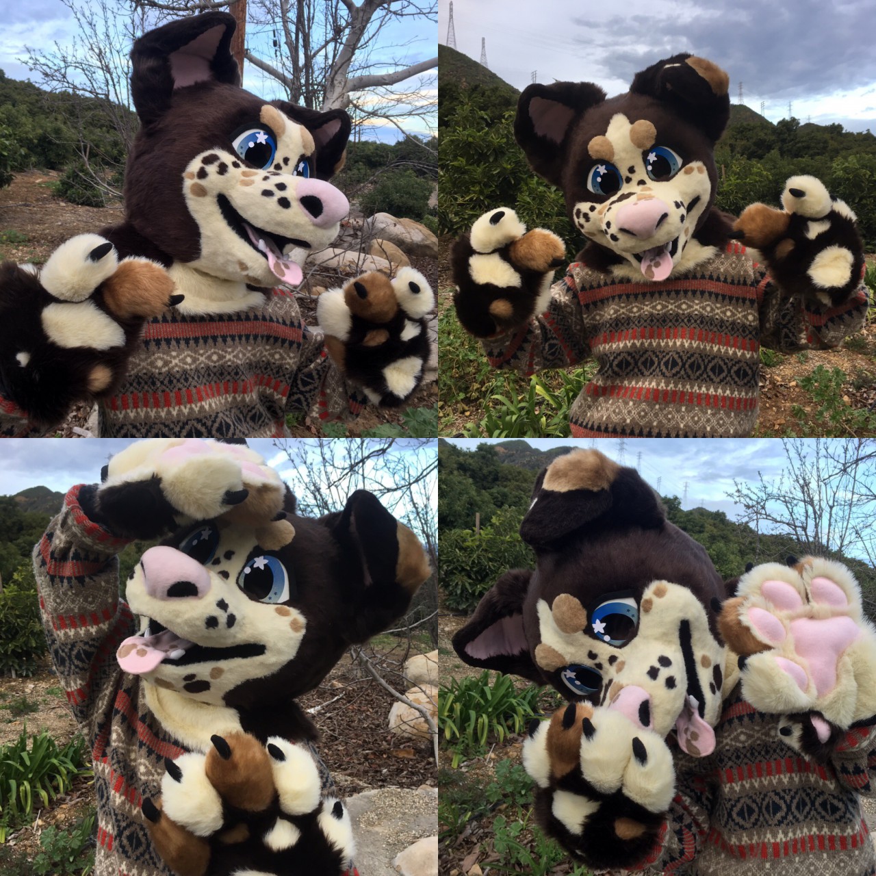 Spotted Collie Puppy Fursuit Partial (Head & Handpaws) by